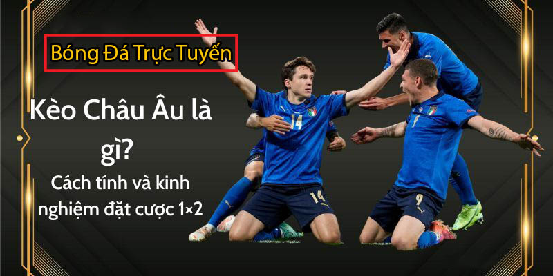 Hướng dẫn cách đọc kèo châu âu 1x2 chính xác hiệu quả nhất 6 kinh nghiệm đặt kèo châu âu trong bóng đá