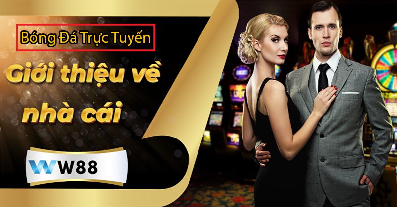 Trang cá độ bóng đá với nhiều tỷ lệ cược hấp dẫn