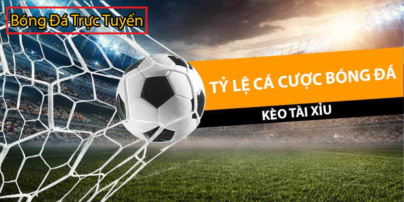 Tỷ lệ cá cược bóng đá EURO - WORLD CUP mới nhất hôm nay 5 tỷ lệ cá cược bóng đá kèo tài xỉu